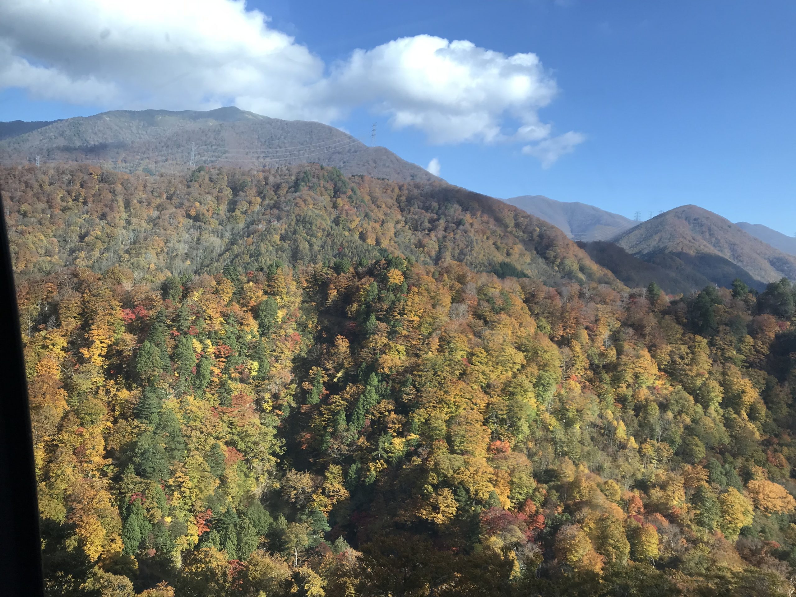 ドラゴンドラから見た紅葉の景色