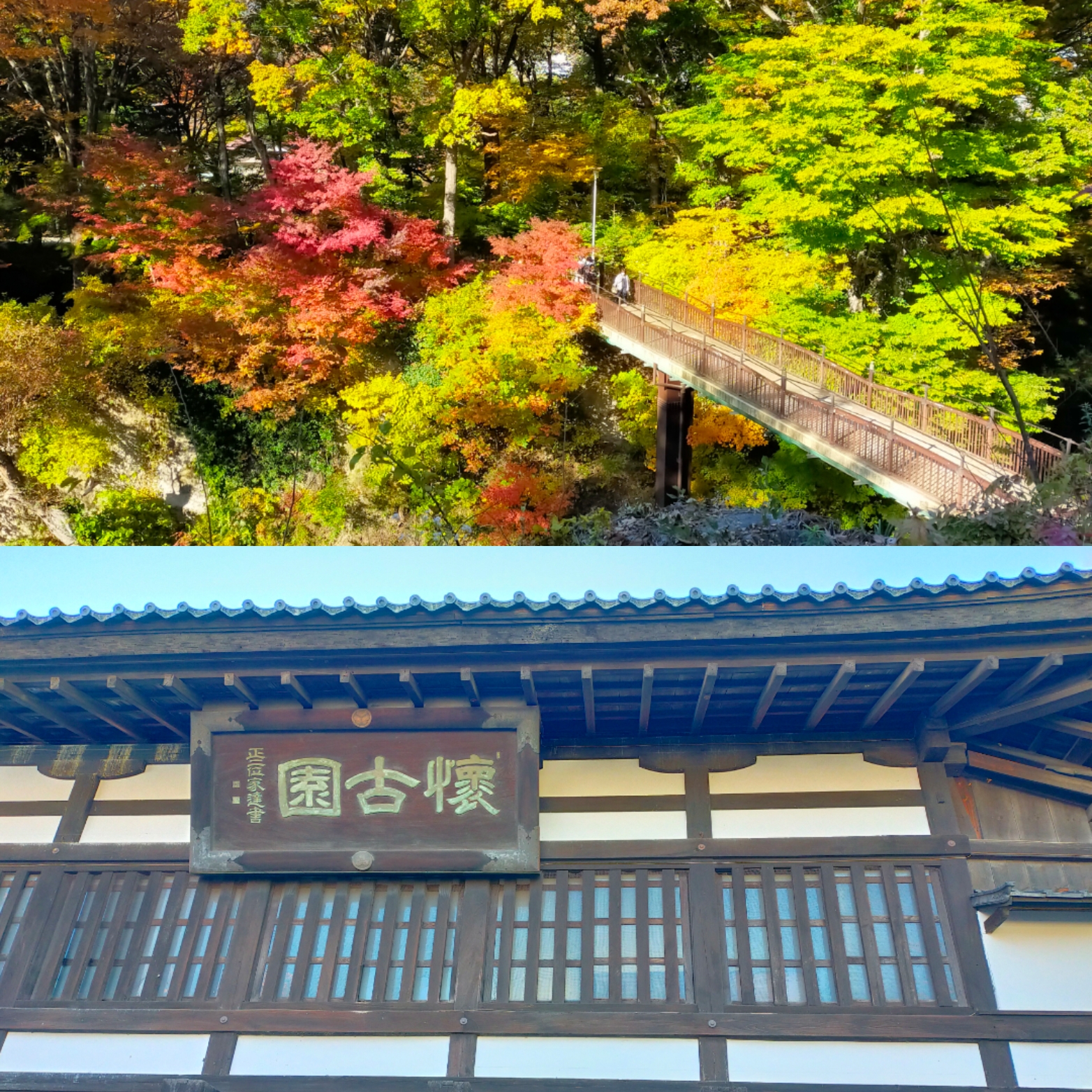 長野県小諸市「懐古園」の紅葉